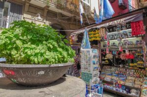 Souvenir stall and a large pot of basil on Spaccanapoli - Naples, Italy - rossiwrites.com