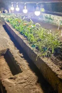 The underground garden in the former water cisterns of Naples as seen during the Neapolis Sotterranea tour - Naples, Italy - rossiwrites.com