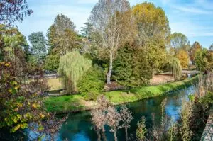 Beautiful canals surrounding the historic centre - Treviso, Italy - rossiwrites.com