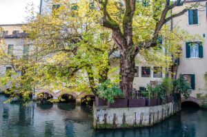 Houses in the historic cente built on water - Treviso, Italy - rossiwrites.com