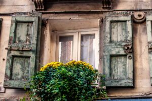 Window with potted plants - Treviso, Italy - rossiwrites.com