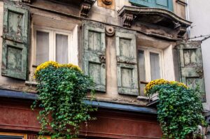Windows with potted plants - Treviso, Italy - rossiwrites.com